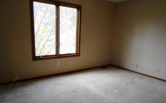 234 N Crest Ave, Bartlett, IL 60103 photo 7