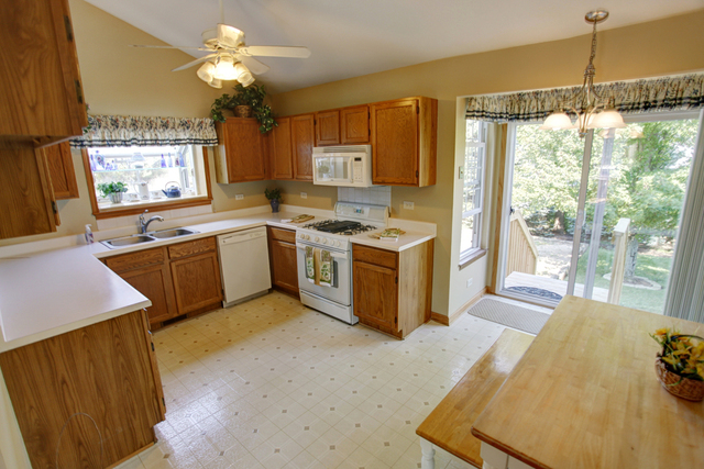 4225 Larkspur Ln, Lake In The Hills, IL 60156 photo 5