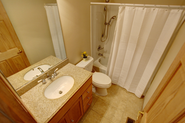 4225 Larkspur Ln, Lake In The Hills, IL 60156 photo 14
