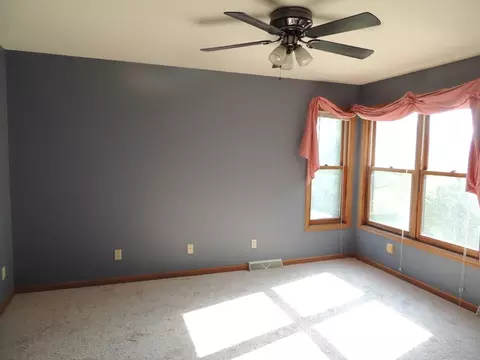 413 W Caroline St, Spring Valley, IL 61362 photo 7