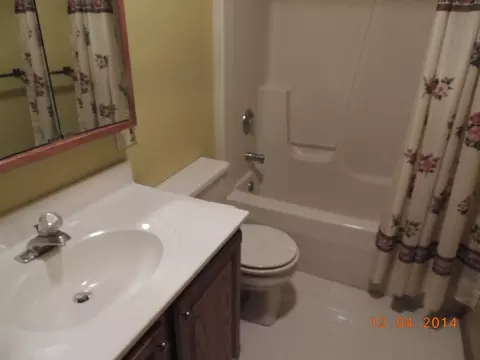 413 W Caroline St, Spring Valley, IL 61362 photo 16
