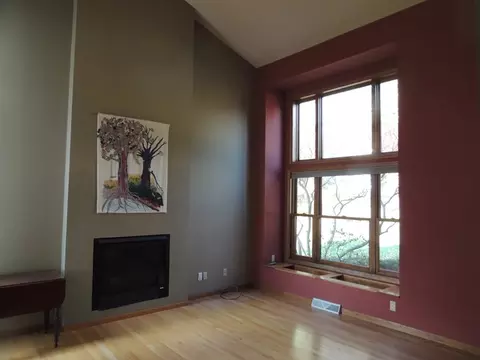 413 W Caroline St, Spring Valley, IL 61362 photo 3