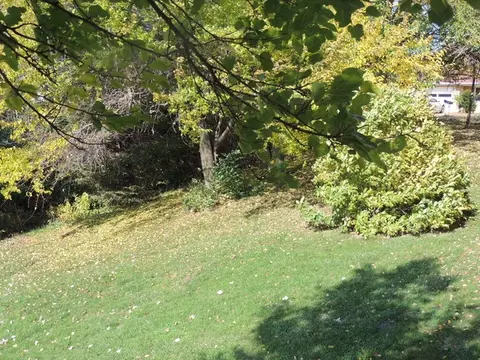 413 W Caroline St, Spring Valley, IL 61362 photo 21