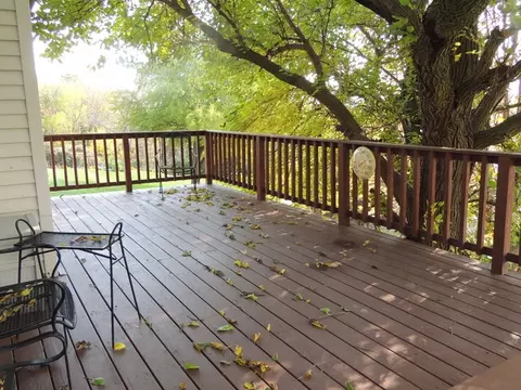 413 W Caroline St, Spring Valley, IL 61362 photo 20