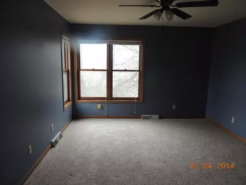 413 W Caroline St, Spring Valley, IL 61362 photo 14