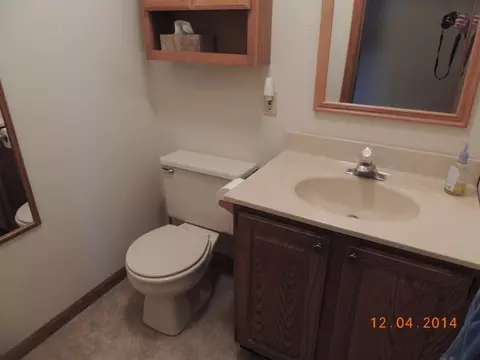 413 W Caroline St, Spring Valley, IL 61362 photo 12