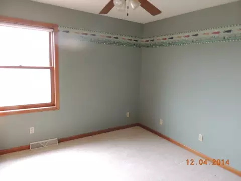 413 W Caroline St, Spring Valley, IL 61362 photo 15