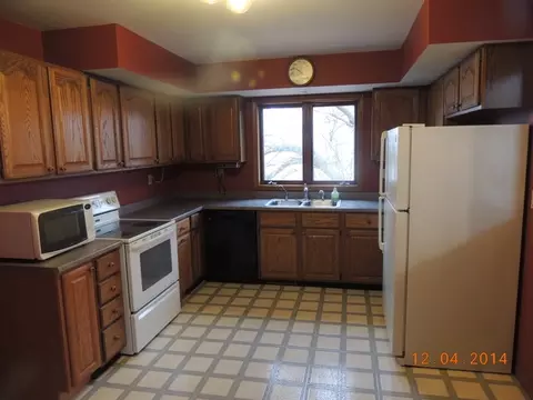 413 W Caroline St, Spring Valley, IL 61362 photo 10