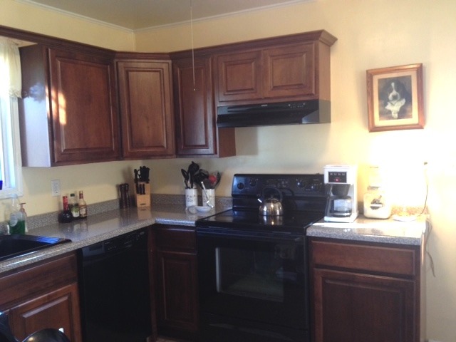 163 E Union St, Seneca, IL 61360 photo 3