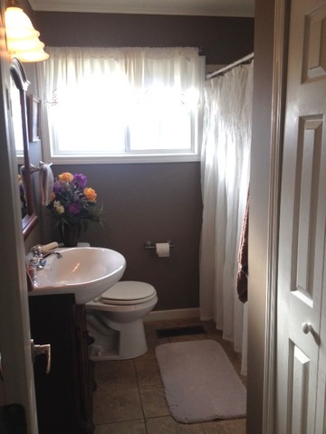 163 E Union St, Seneca, IL 61360 photo 7