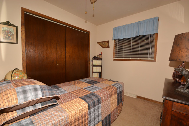 12911 Hadfield Dr, Plainfield, IL 60585 photo 14