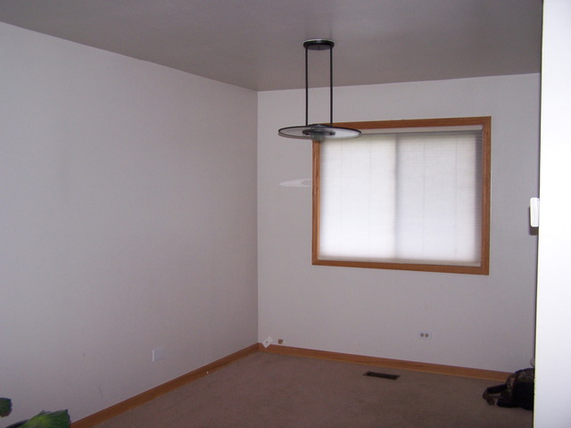1206 Pinetree Ln, Bartlett, IL 60103 photo 3