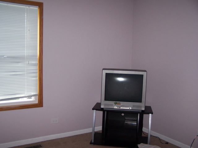 1206 Pinetree Ln, Bartlett, IL 60103 photo 10