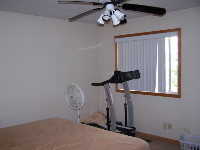 1206 Pinetree Ln, Bartlett, IL 60103 photo 7