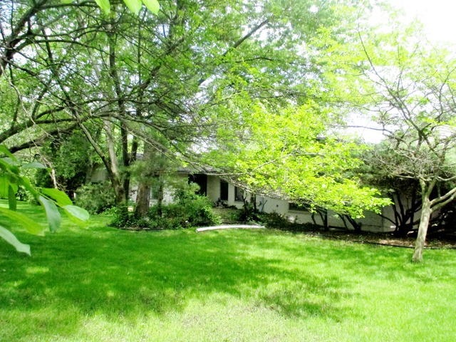 49 Graymoor Ln, Olympia Fields, IL 60461 photo 20