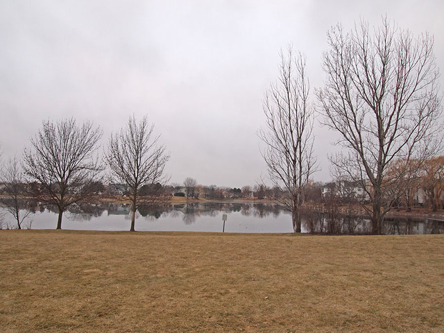 1432 Huntcliff Rd, Bartlett, IL 60103 photo 22