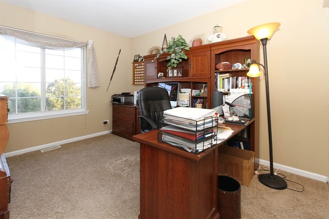 419 Spaulding Rd #1336, Bartlett, IL 60103 photo 17