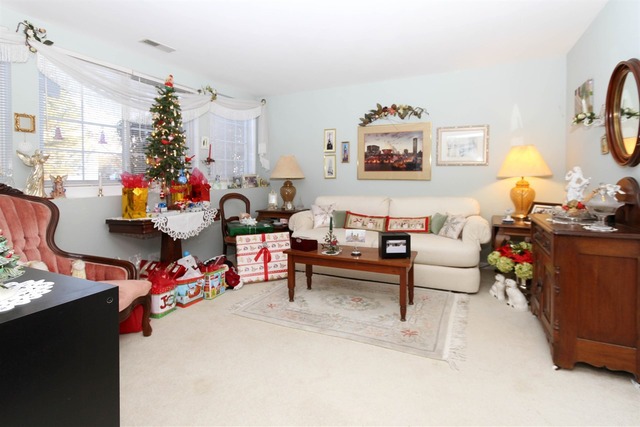 419 Spaulding Rd #1336, Bartlett, IL 60103 photo 11
