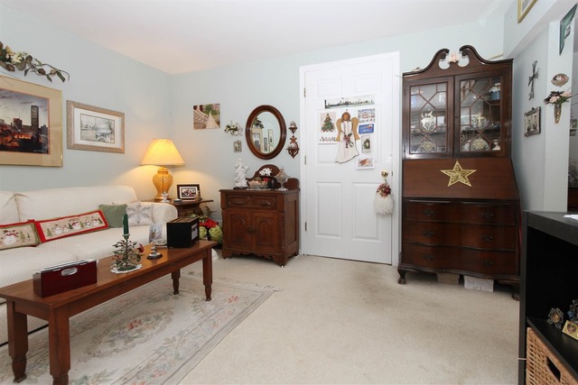 419 Spaulding Rd #1336, Bartlett, IL 60103 photo 12