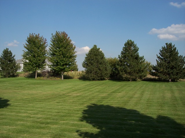 2976 E 2360th Rd E, Marseilles, IL 61341 photo 17