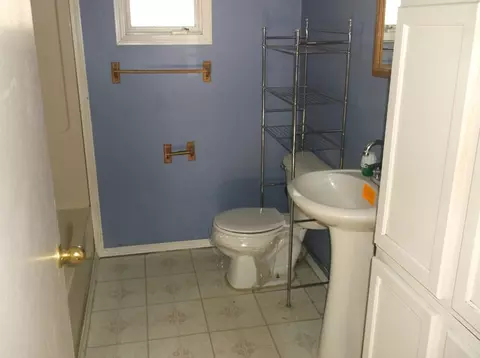 203 S 3rd St, Cherry, IL 61317 photo 7