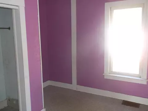 203 S 3rd St, Cherry, IL 61317 photo 5