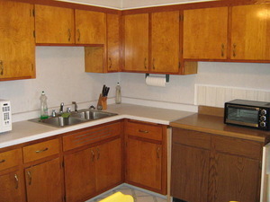 112 Spring St, Roselle, IL 60172 photo 4