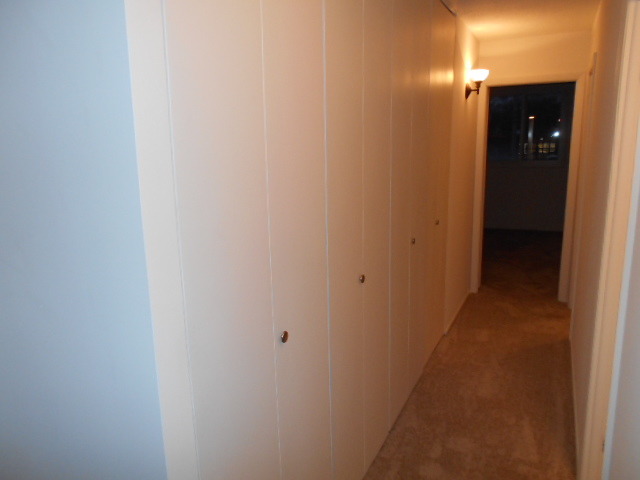 825 Pearson St #2E, Des Plaines, IL 60016 photo 11