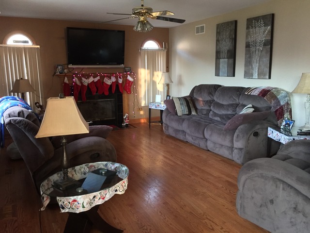 16446 Edgewood Rd, Plainfield, IL 60586 photo 9