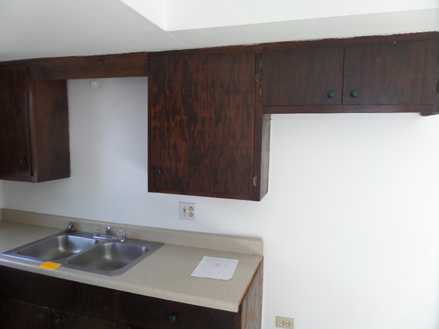 813 N Center St, Joliet, IL 60435 photo 7