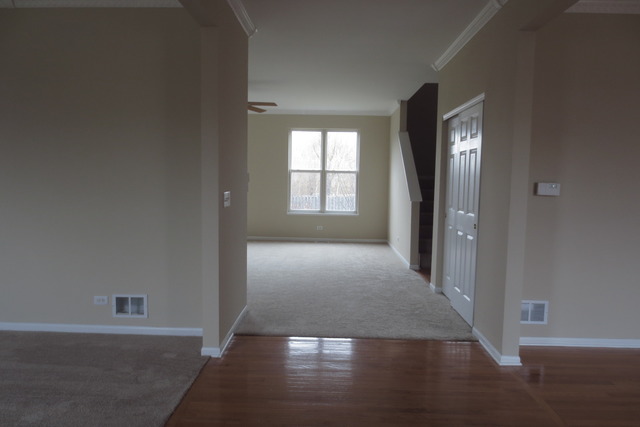 211 Gregory M Sears Dr, Gilberts, IL 60136 photo 2