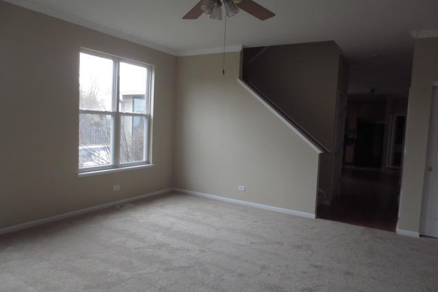 211 Gregory M Sears Dr, Gilberts, IL 60136 photo 9