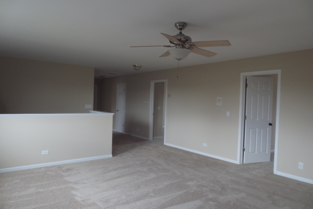 211 Gregory M Sears Dr, Gilberts, IL 60136 photo 18