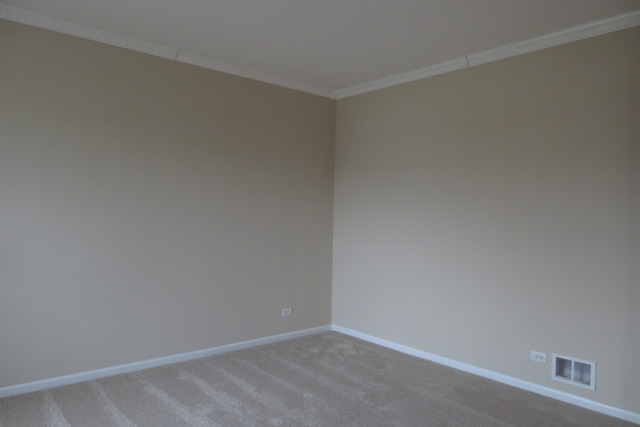 211 Gregory M Sears Dr, Gilberts, IL 60136 photo 3