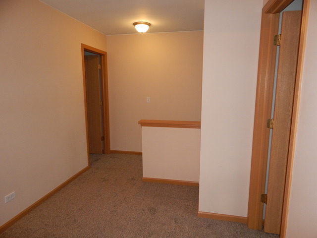 2153 Union Mill Dr, Aurora, IL 60503 photo 20