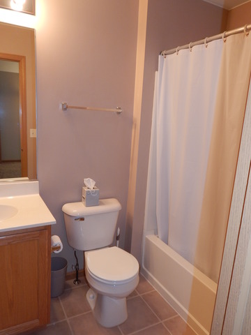 2153 Union Mill Dr, Aurora, IL 60503 photo 15