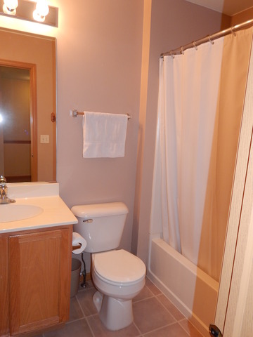 2153 Union Mill Dr, Aurora, IL 60503 photo 18