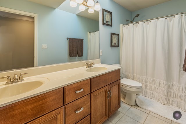 12849 Barrow Ln, Plainfield, IL 60585 photo 21
