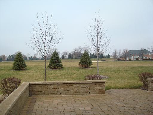25262 S Doolittle Dr, Monee, IL 60449 photo 21