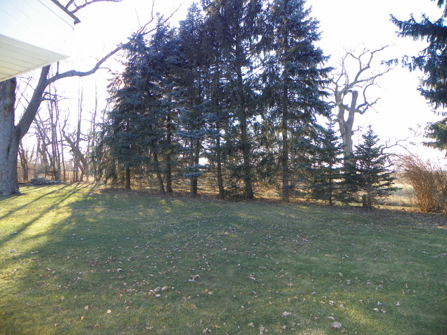 8710 S Old Mazon Rd, Gardner, IL 60424 photo 15