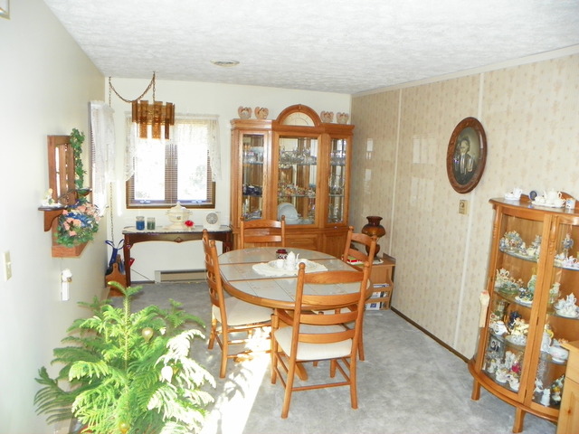 8710 S Old Mazon Rd, Gardner, IL 60424 photo 5
