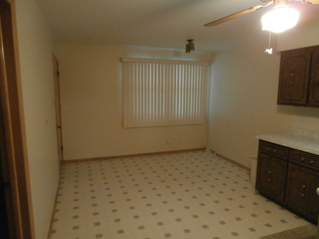 15053 Tripp Ave, Midlothian, IL 60445 photo 4
