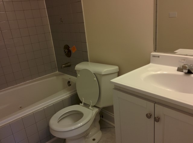 4619 Kings Walk Dr #2d, Rolling Meadows, IL 60008 photo 7