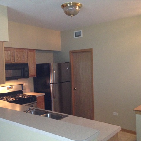4137 Oak Tree Ln, Plainfield, IL 60586 photo 9