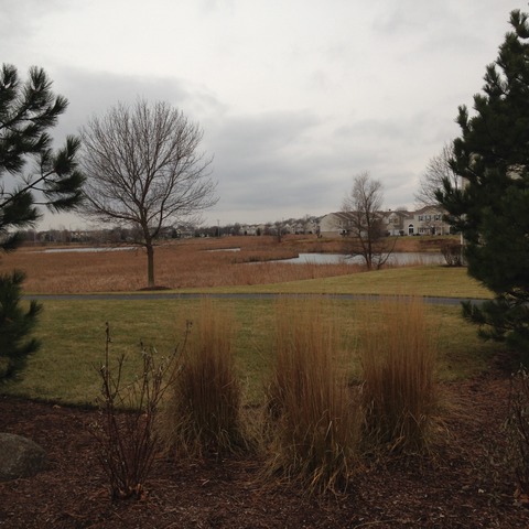 4137 Oak Tree Ln, Plainfield, IL 60586 photo 3