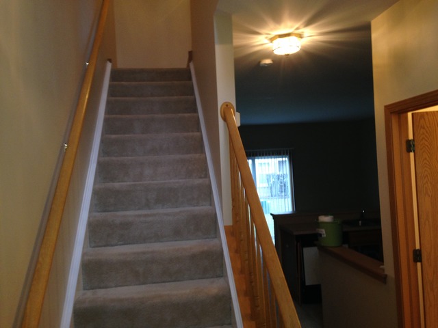4137 Oak Tree Ln, Plainfield, IL 60586 photo 11