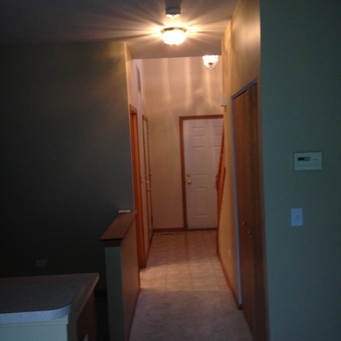 4137 Oak Tree Ln, Plainfield, IL 60586 photo 8