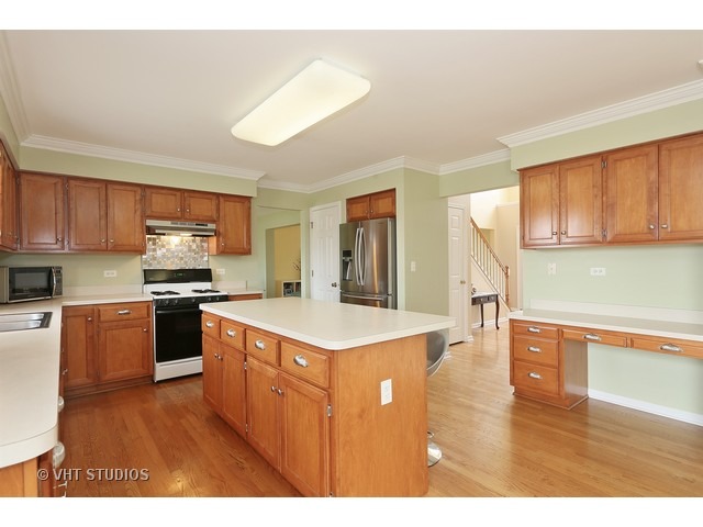13717 Shriver Ct, Plainfield, IL 60544 photo 3
