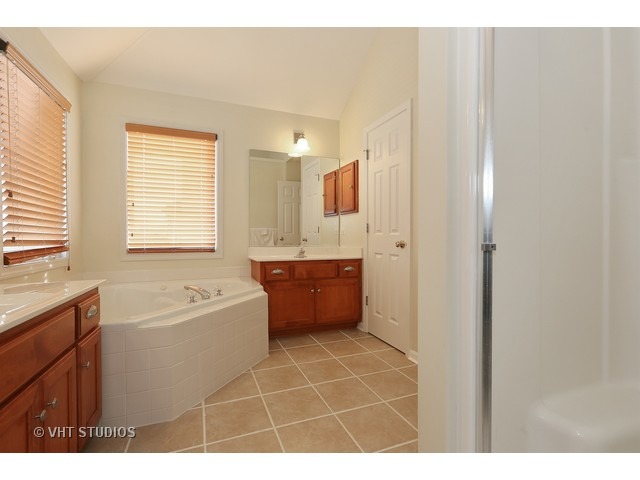 13717 Shriver Ct, Plainfield, IL 60544 photo 10