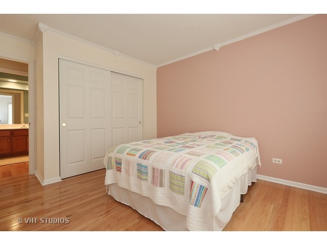 13717 Shriver Ct, Plainfield, IL 60544 photo 12
